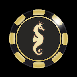 CasinoCruise logo